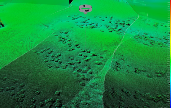 1667467350546938.png image.png